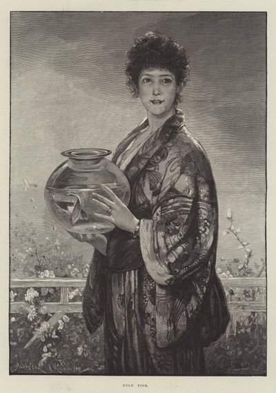 Aranyhal alkotó: Davidson Knowles